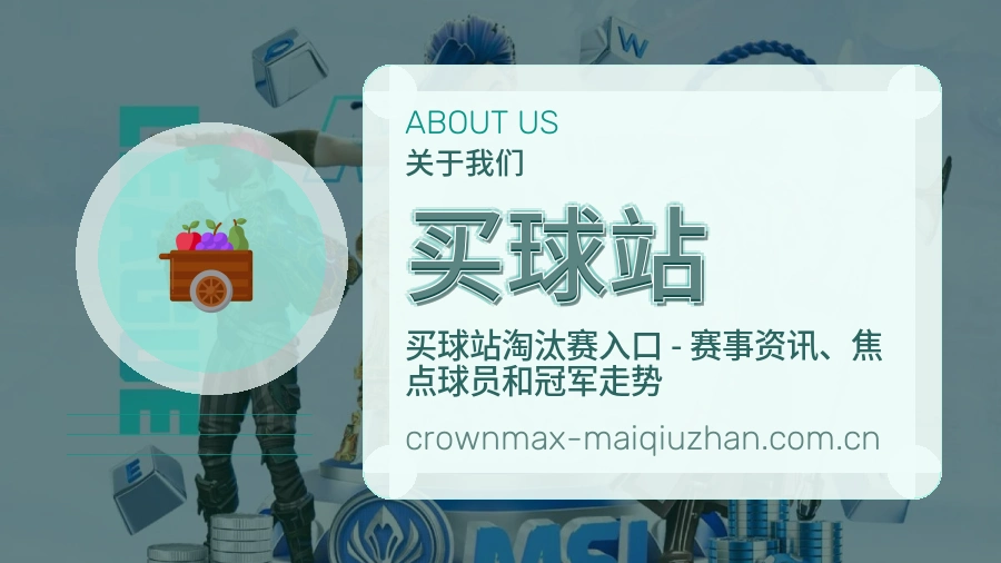 买球站服务范围介绍